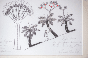 Il était une forêt©Pascal Flamant