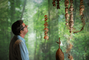 Il était une forêt©Pascal Flamant